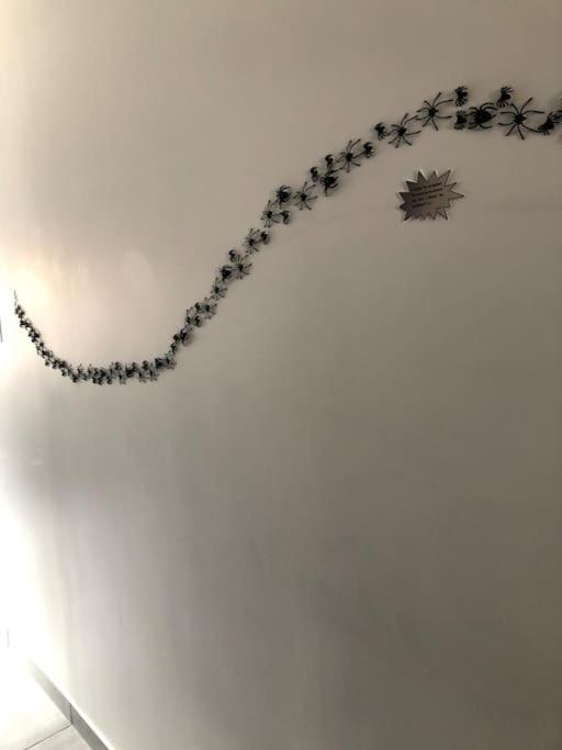 Maison Harry Potter Pour 6 Personnes En Centre Ville Montauban Dış mekan fotoğraf
