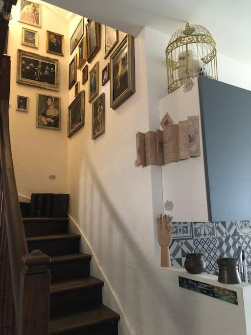 Maison Harry Potter Pour 6 Personnes En Centre Ville Montauban Dış mekan fotoğraf
