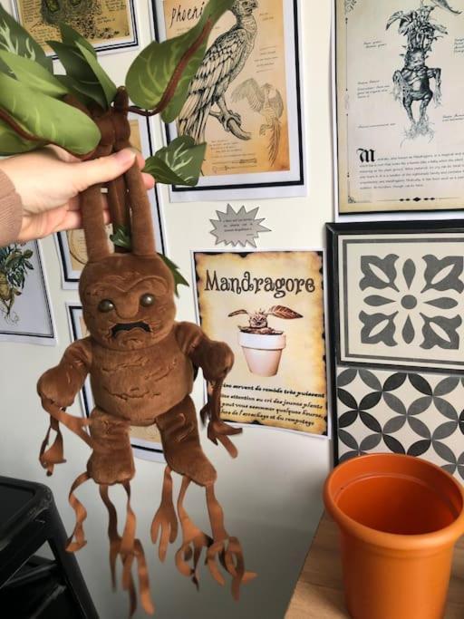 Maison Harry Potter Pour 6 Personnes En Centre Ville Montauban Dış mekan fotoğraf